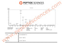 BPC-157, TB-500 Wolverine stack (Blend) 20mg  - Peptide Sciences