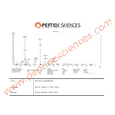 BPC-157 TB-500 KPV GHK-Cu 80mg (Klow Blend) - Peptide Sciences - Peptídeo