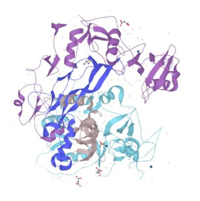 Follistatin 344 1mg - Peptide Sciences