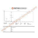 N-Acetyl Semax Amidate 30mg - Peptide Sciences - Peptídeo