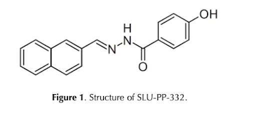 Investigação molecular do SLU-PP-332 na pesquisa da via do receptor relacionado ao estrogênio